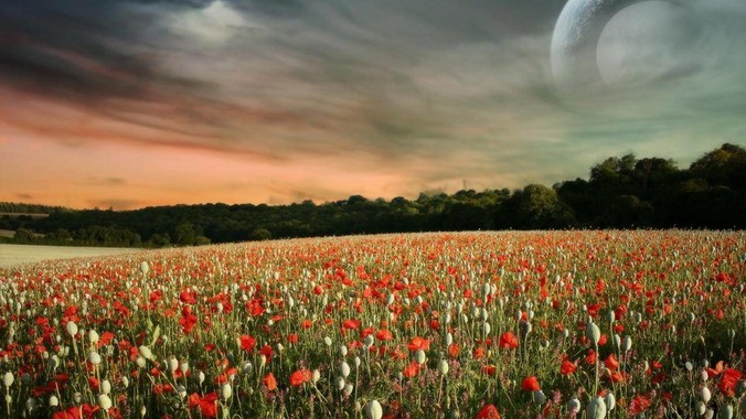 你的择偶标准是怎么样的？